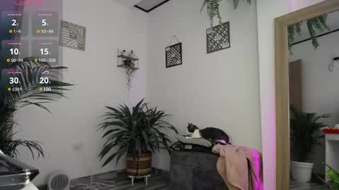 luciiana online show from 02/25/25, 03:05