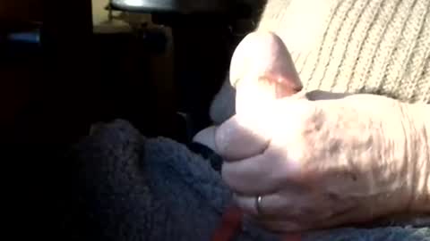 Snapshot of luckypirateboy chatting on 03/08/26, 10:08 BIG Daddy cock. Tips make it harder online show from 03/08/26, 10:08