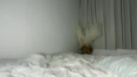 Snapshot of lucyforr chatting on 08/01/26, 04:23 lucyforr online show from 08/01/26, 04:23