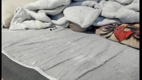 Snapshot of luffykun300 chatting on 04/06/26, 12:52 luffykun300 online show from 04/06/26, 12:52