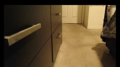 LUGO online show from 10/08/25, 05:27