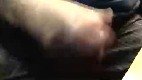 Snapshot of lukestarfckr chatting on 11/23/25, 07:57 lukestarfckr online show from 11/23/25, 07:57