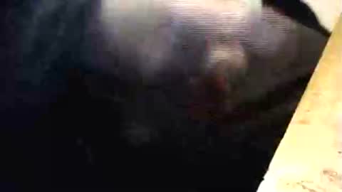 Snapshot of lukestarfckr chatting on 03/01/26, 06:32 lukestarfckr online show from 03/01/26, 06:32