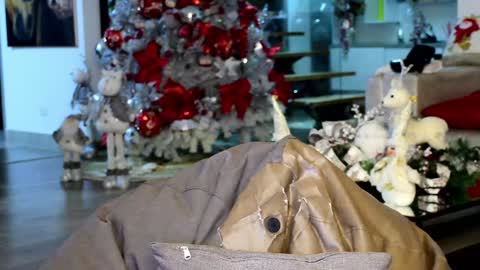 Lukhas f4f online show from 01/12/25, 01:53