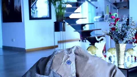 Lukhas f4f online show from 02/26/25, 03:41