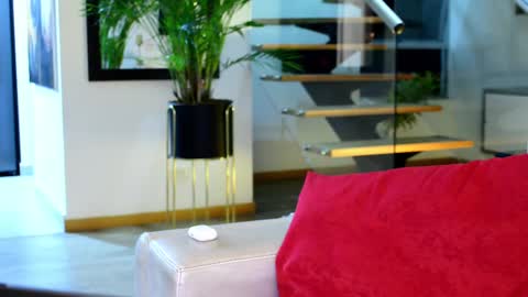 Lukhas f4f online show from 09/13/25, 04:01