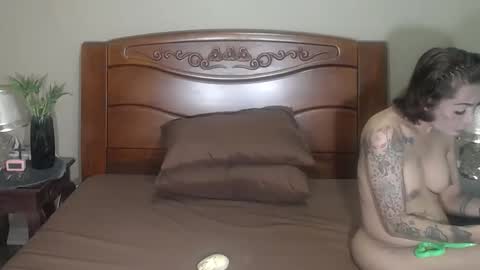 lulu_wild online show from 11/05/25, 08:36