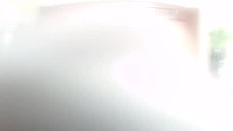 Snapshot of lulu_wild chatting on 02/14/26, 09:17 lulu_wild online show from 02/14/26, 09:17