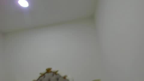 Snapshot of luna_forever7 chatting on 04/14/26, 12:22 luna forever7 online show from 04/14/26, 12:22