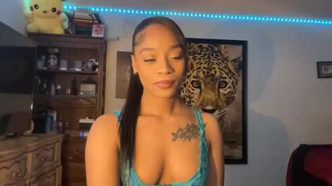 Snapshot of lunaa_11 chatting on 12/29/24, 04:38 lunaa_11 online show from 12/29/24, 04:38