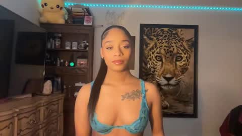 Snapshot of lunaa_11 chatting on 01/13/25, 06:06 lunaa_11 online show from 01/13/25, 06:06