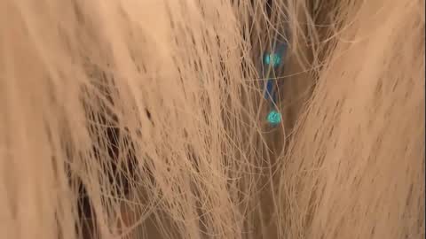 Snapshot of lunaafox chatting on 01/01/25, 04:29 lunaafox online show from 01/01/25, 04:29