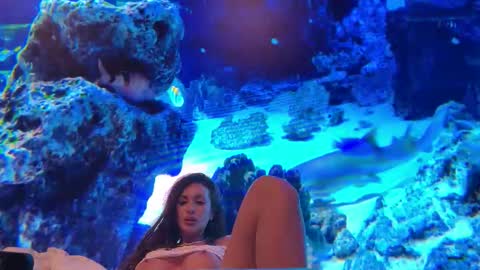 LunaBex online show from 02/18/26, 09:22