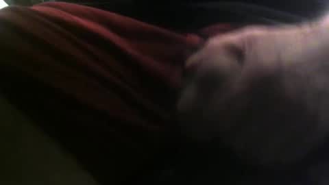 Snapshot of lunatica12 chatting on 02/23/25, 06:17 lunatica12 online show from 02/23/25, 06:17