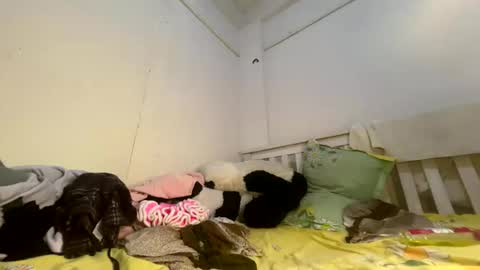 Snapshot of luscious_nita chatting on 04/03/26, 07:50 Luscious nita online show from 04/03/26, 07:50