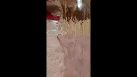 Snapshot of lustinaxxx chatting on 12/14/25, 10:25 lustinaxxx online show from 12/14/25, 10:25