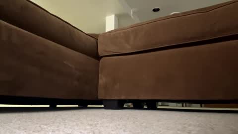 Snapshot of luv_2_master_bate chatting on 09/23/25, 07:06 luv_2_master_bate online show from 09/23/25, 07:06