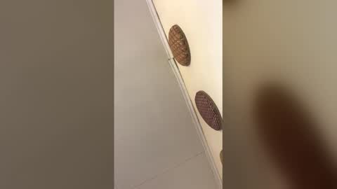 luxvietes online show from 01/17/26, 11:48