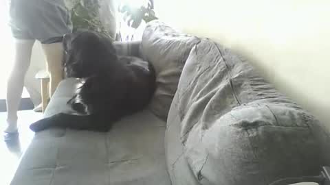 Snapshot of luzardol chatting on 03/05/25, 02:56 luzardol online show from 03/05/25, 02:56