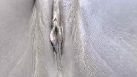 Snapshot of lyiajee chatting on 10/14/25, 07:09 lyiajee online show from 10/14/25, 07:09