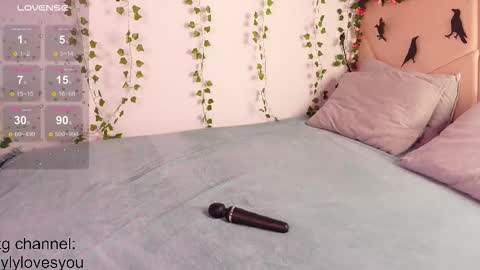 Snapshot of lyly_loveyou chatting on 10/28/25, 05:33 Lyly online show from 10/28/25, 05:33