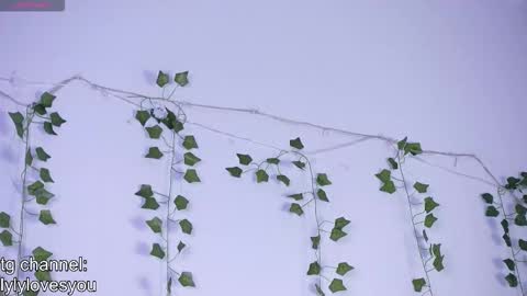 Snapshot of lyly_loveyou chatting on 11/13/25, 05:39 Lyly online show from 11/13/25, 05:39