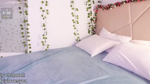 Snapshot of lyly_loveyou chatting on 11/28/25, 06:27 Lyly online show from 11/28/25, 06:27