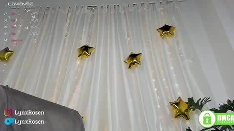 Lynx Rosen online show from 01/18/25, 12:13