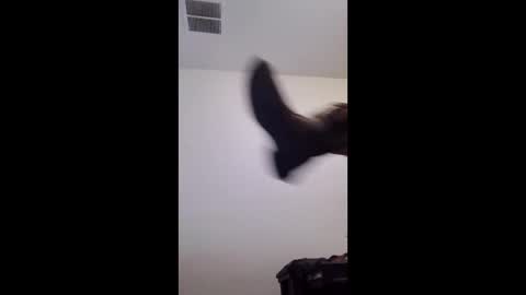 Snapshot of m2tonerfux chatting on 04/25/26, 05:21 m2tonerfux online show from 04/25/26, 05:21