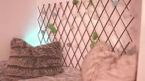 Snapshot of mackenziemoon chatting on 11/28/25, 07:27 Noah Askew online show from 11/28/25, 07:27