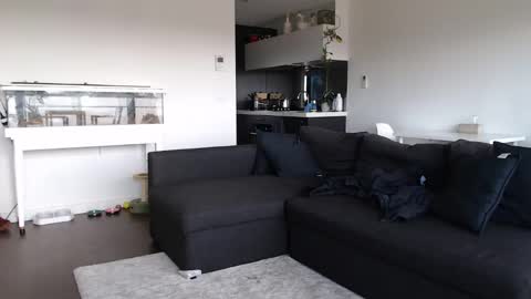 Maddie Meek  online show from 02/10/25, 02:19