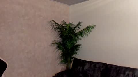 Maddox Santana online show from 12/03/24, 12:57