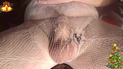 maestro2017 online show from 12/28/24, 10:44