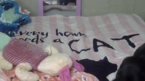 maferchavez88 online show from 02/09/26, 02:15