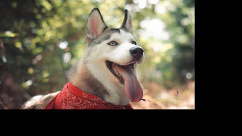 magic_katarina_ online show from 01/25/25, 08:31