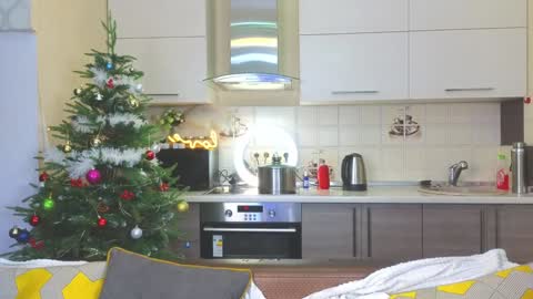 Alice online show from 12/24/24, 04:19