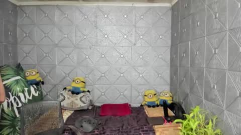 Snapshot of magicsaya chatting on 10/13/25, 08:25 TsKaycee online show from 10/13/25, 08:25