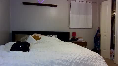 Kaye online show from 12/19/25, 01:34