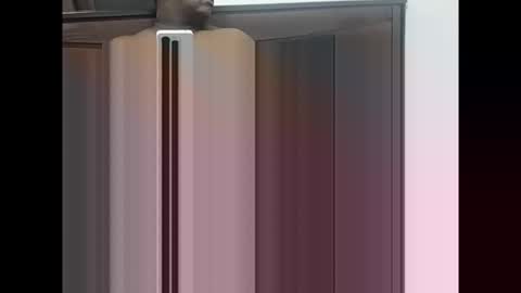 maheel84 online show from 01/11/26, 05:29