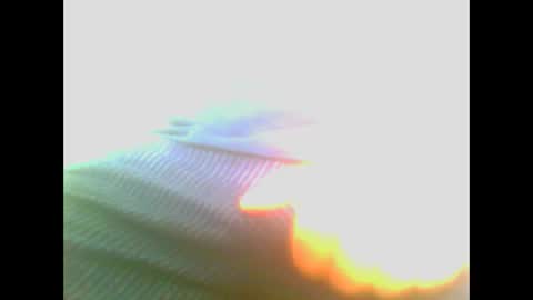 maioris6 online show from 02/22/25, 08:07