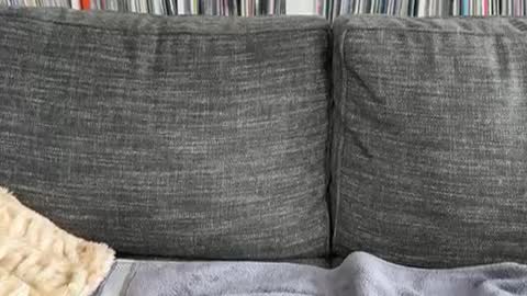 Snapshot of majortazer chatting on 12/03/24, 09:23 majortazer online show from 12/03/24, 09:23