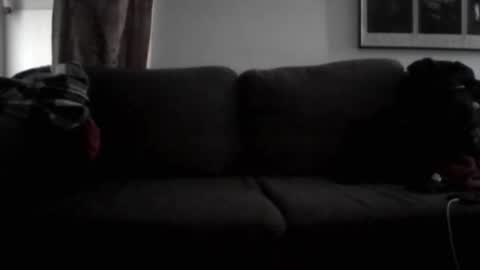 majorxoxo online show from 06/02/26, 09:22