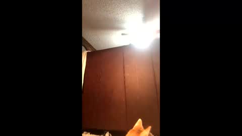 Snapshot of makinziirain chatting on 02/21/26, 12:11 KarizmaticKitten online show from 02/21/26, 12:11