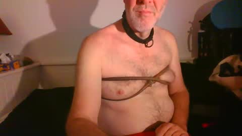 CommandbondageNipples bondage kink submissive lovense slave wgear. modequiethvyBondage If Password goldfish online show from 02/16/25, 08:21