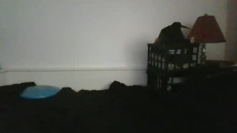 Snapshot of malebdsmslut chatting on 05/31/26, 12:23 CommandbondageNipples bondage kink submissive lovense slave wgear. modequiethvyBondage If Password goldfish online show from 05/31/26, 12:23