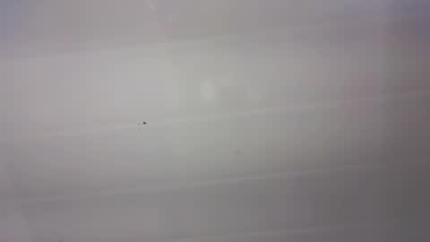 Snapshot of malen_fitnessmilf chatting on 03/22/26, 11:02 malen_fitnessmilf online show from 03/22/26, 11:02