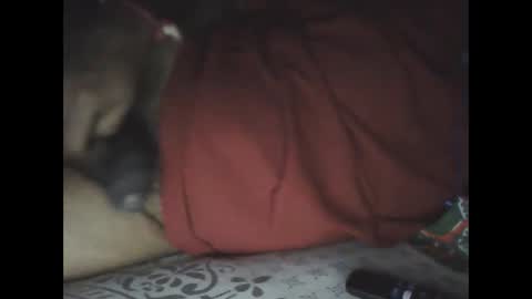 Sree0703 online show from 02/24/25, 06:04