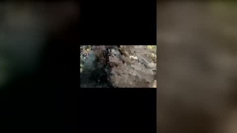 Snapshot of mallubulldick chatting on 11/25/25, 08:42 Mallubull online show from 11/25/25, 08:42