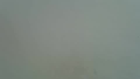 Snapshot of mamichula42 chatting on 09/24/25, 06:39 mamichula42 online show from 09/24/25, 06:39