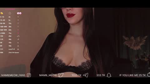 Snapshot of mamiemeow chatting on 01/22/25, 03:40 Your Miss Alice online show from 01/22/25, 03:40